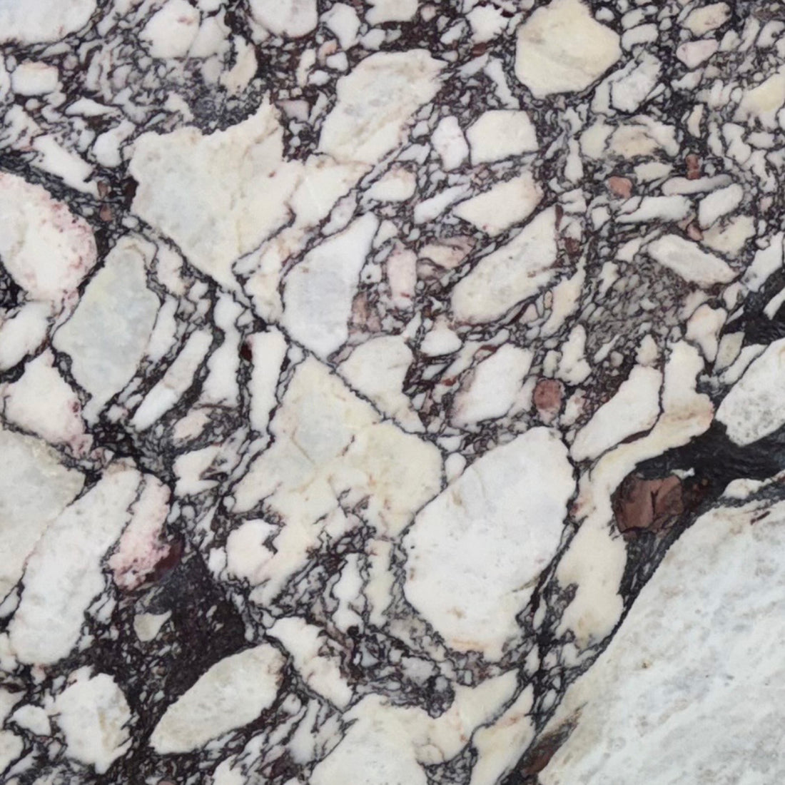 Calacatta Viola marble featuring a creamy white base and dramatic, thick purple-red brecciated veining for luxury backsplashes.