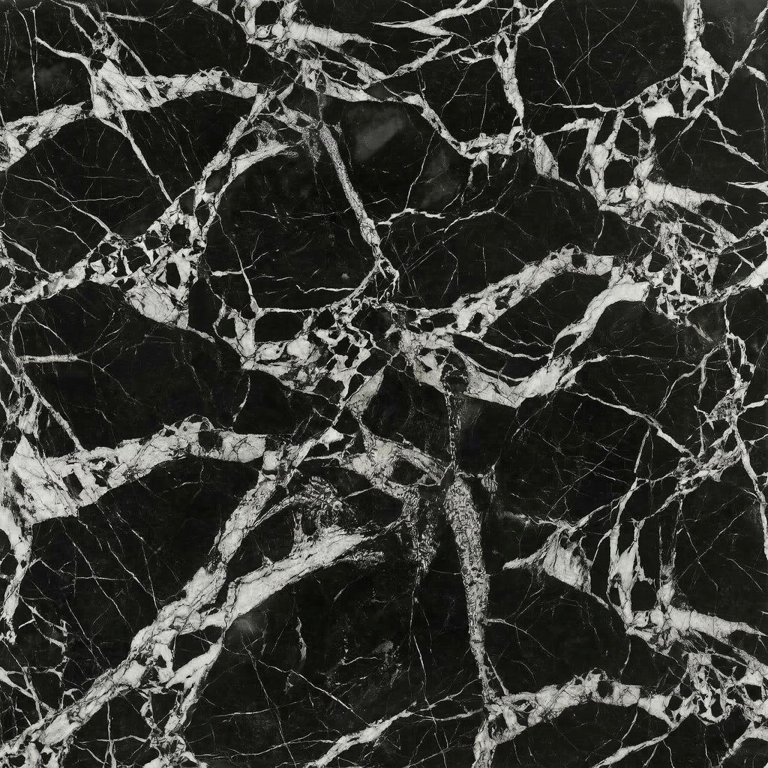 Dramatic Grand Antique marble featuring a deep black base with sharp, thick white brecciated fragments for prestigious architectural interiors.