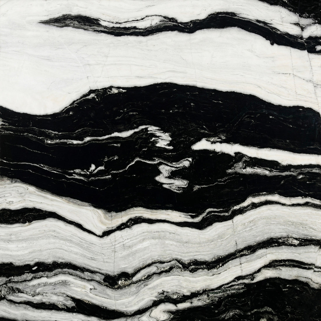 Striking Panda White marble texture featuring a luminous snowy base punctuated by bold, fluid ink-black veining for high-contrast, modern architectural masterpieces.